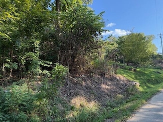 Lot 13 Mullins Cove Rd, Powells Crsrd, TN 37397