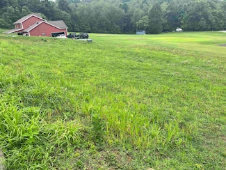 Lot 45 Carlson Heights Dr, Grafton, WV 26354