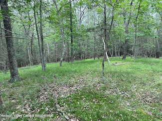 506 Rivka Rd, Saugerties, NY 12477