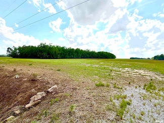000 Shawneetown New Haven Rd, Elizabethtown, IL 62931