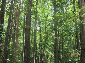40 K-V Rd, Victoria, VA 23974