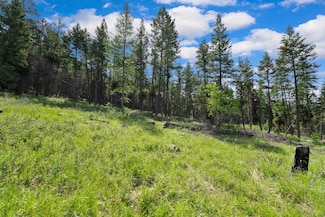 437 Buffalo Trail, Somers, MT 59932