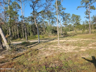 2 Silver Run Rd, Poplarville, MS 39470