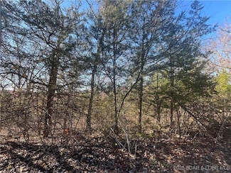 Lot 255 Toronto Ln, Osage Township, MO 65072