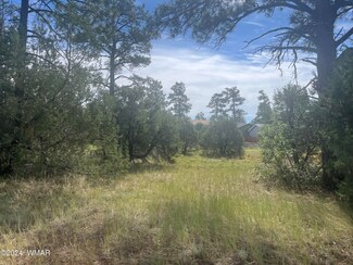 5429 Red Squirrel Ln, Pinetop-Lakeside, AZ 85929