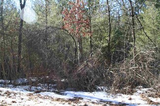 L5&6 Wigwam St, Quincy, WI 53934