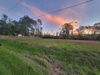 TBD Coach Light Forest, New Caney, TX 77357