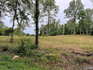 Lot 3 Cherrywood Dr, Guntersville, AL 35976