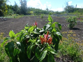 15-916 Paradise Ala Kai Dr, Keaau, HI 96749