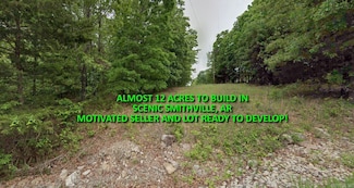 Lot 135 Nelsonville Rd, Smithville, AR 72466