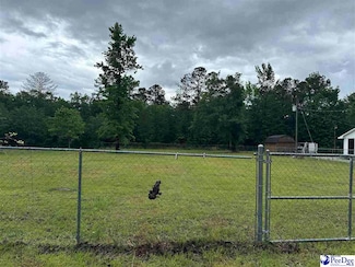 Lot Green Oak Dr, Hartsville, SC 29550