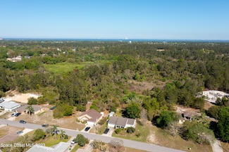 None Unknown, Mims, FL 32754