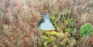 504 Brown Branch Rd Dix Fk, Sidney, KY 41564