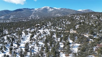 30110 Princeton Hills, Buena Vista, CO 81211