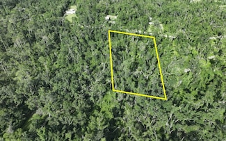 0 NW Champion Oak Blvd, Jennings, FL 32053