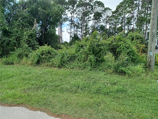 1811 Amboy Dr, Deltona, FL 32738