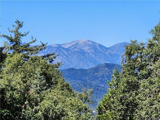 0 North Rd Unit RW24084913, Twin Peaks, CA 92391