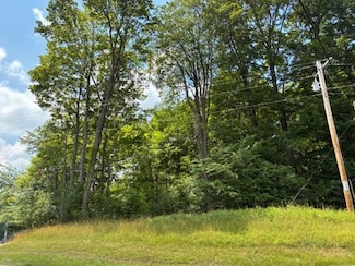 7326 State Route 19 Unit 5 Lots 1-2, Mount Gilead, OH 43338