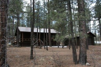 6 County Road 2065 Unit LOT 8 ALPINE HIGHLAN, Alpine, AZ 85920