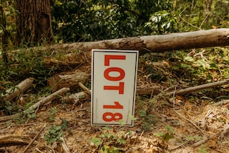 TBD Lot 18 Sandy Ridge Rd, Campton, KY 41301