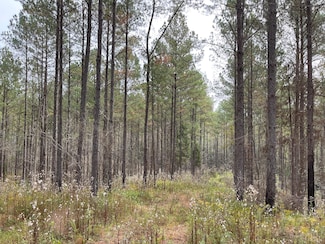 0 County Road 49, Vernon, AL 35592