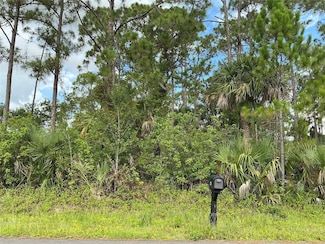 270 Mardi Gras Ave NW, Palm Bay, FL 32907