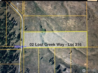 0 Lot 316 Lost Creek Way, Tonasket, WA 98855