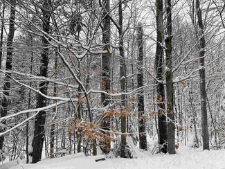 Lot 49 Mittenwald Strasse Unit 49, Harts Lctn, NH 03812