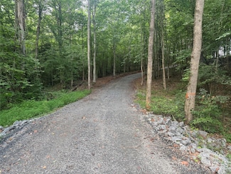 00 Coxe Rd Unit 4, Tryon, NC 28782