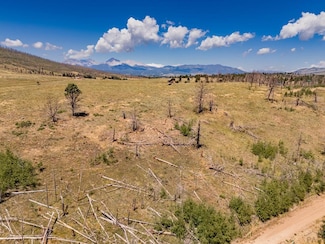 Lot 646 Emery Loop, Ft. Garland, CO 81133