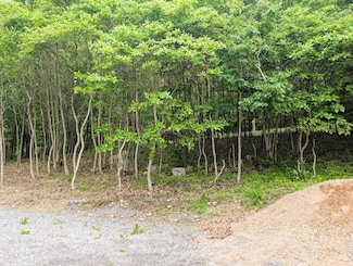23165 Fort Littleton Rd, Orbisonia, PA 17243