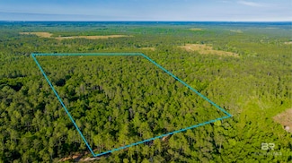 0 George Thomley Rd, Perdido, AL 36562