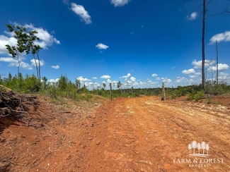 0 County Road 208, Jack, AL 36346