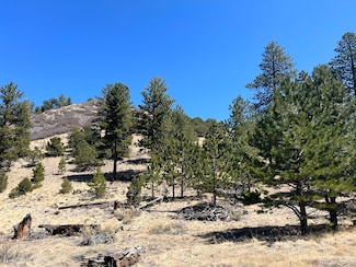 1500 Bunker Hill Rd, Westcliffe, CO 81252