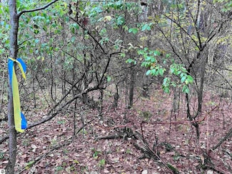 35 Wilber Rd, Tawas City, MI 48763