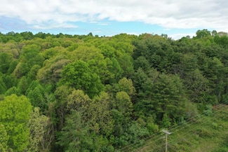 TBD Old Danville Pike, Laurel Fork, VA 24352