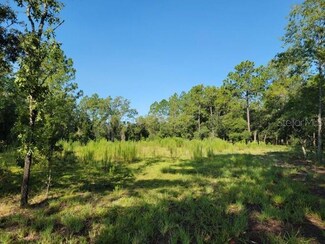 TBD SE 32nd Place, Morriston, FL 32668