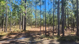 Lot 303 Mission, Southport, NC 28461