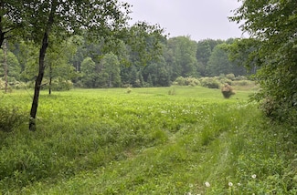 Lot Valley Rd, Hutchins, WI 54414