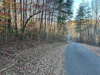 Lot 11 Tombstone Dr, Blairsville, GA 30512