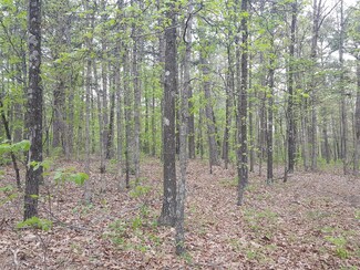 0 Whispering Pines Ln Unit 60242662, Licking, MO 65542