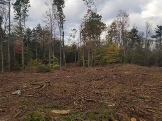 10/29 Daley Rd, Fitzwilliam, NH 03447