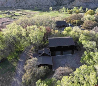 53580 Highway 330 Unit 330, Collbran, CO 81624