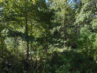 1167 Dan Rd, Mount Pleasant, SC 29466