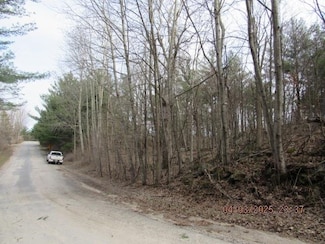 Lot 7 Williams Rd, Macomb, NY 13642