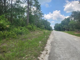 7143 Alloy St, Webster, FL 33597