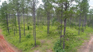 Bethlehem Rd, Equality, AL 36026