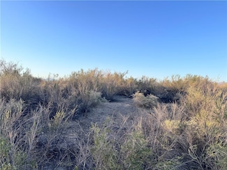 2891 Mesa Del Oro, Mohave Valley, AZ 86440
