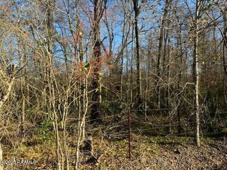 1 Heard Sylvester Rd, Washington, LA 70589
