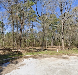 25789 Tupelo Cir, Splendora, TX 77372